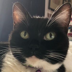 Meet your Posher, Serina